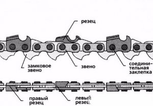 Строение цепи