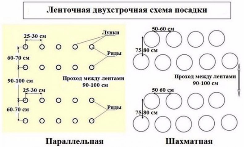 Схема посадки