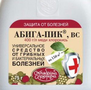 Абига