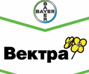 Вектра