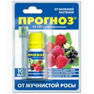 Прогноз