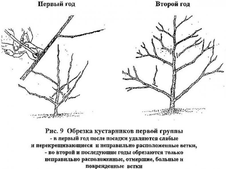 Обрезка