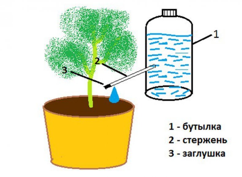 Капельный полив со стержнем