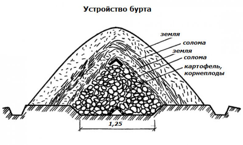 Схема устройства бурта для хранения сахарной свеклы