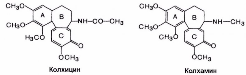 Колхицин и колхамин