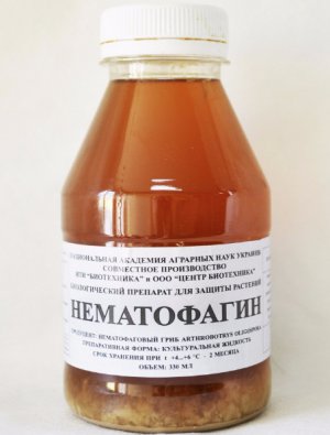 Нематофагин