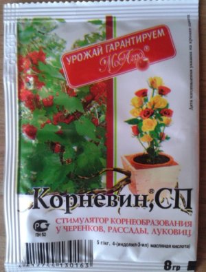 Корневин