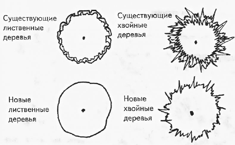 Условные обозначения деревьев