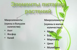 Элементы питания