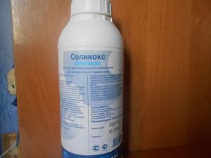 Соликокс