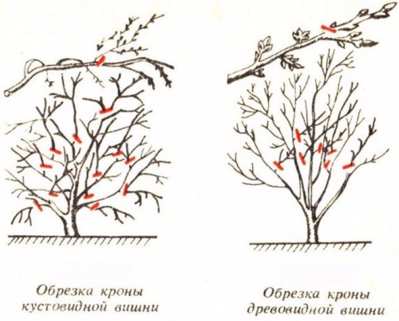 Обрезка