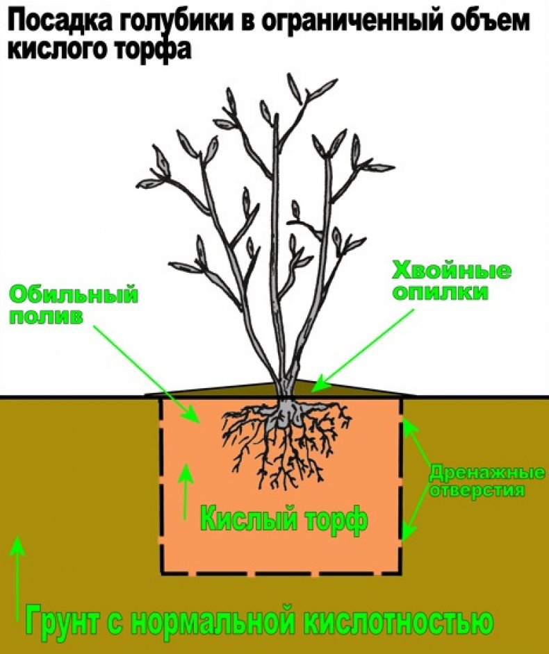 Посадка