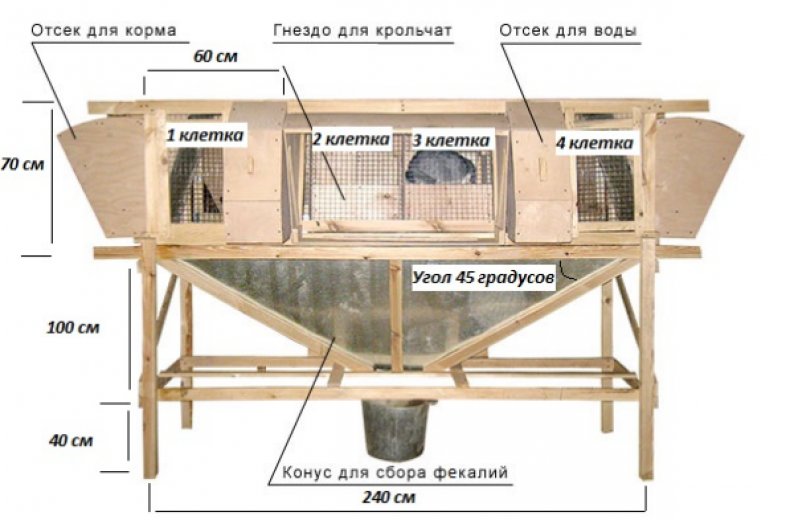 Проект клеток Михайлова