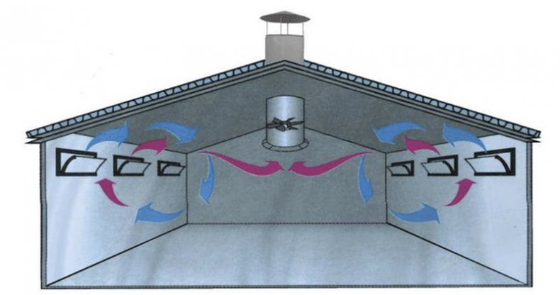 Естественная вентиляция коровника