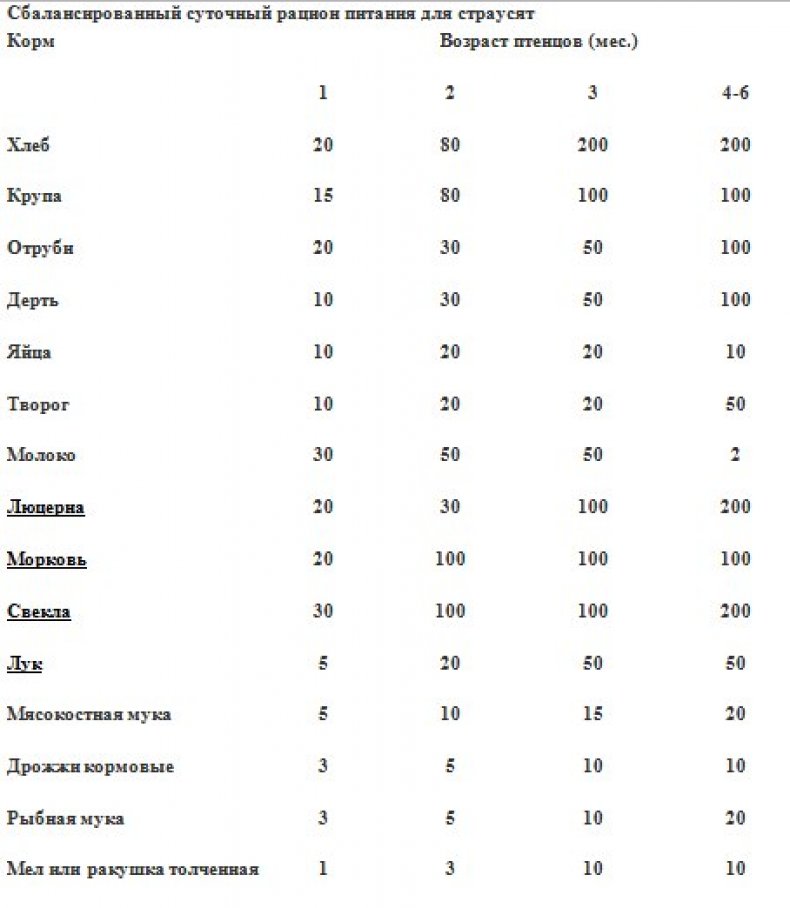 Таблицу суточного питания для страусят