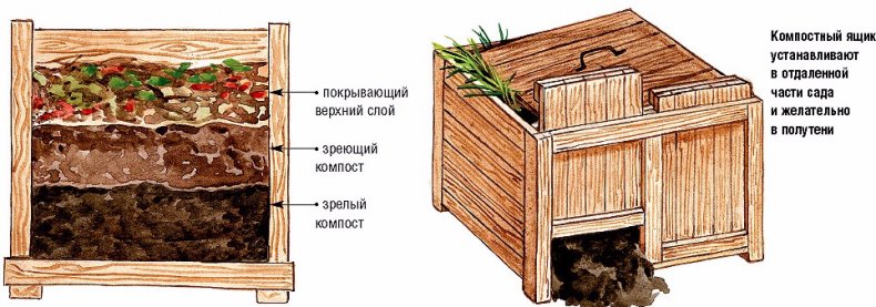 Готовим компост на даче