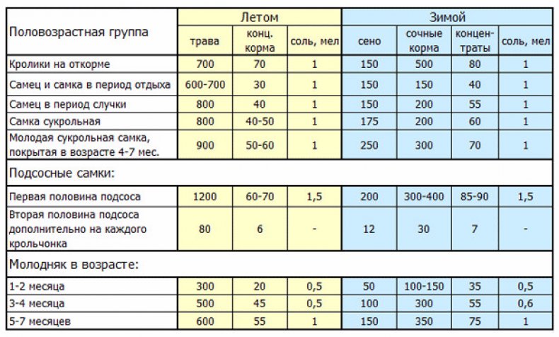 Различия в кормлении кроликов зимой и летом