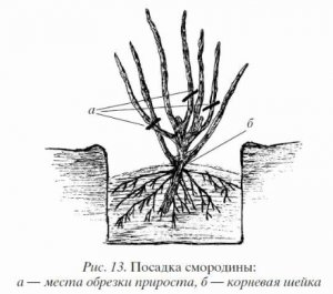 Посадка