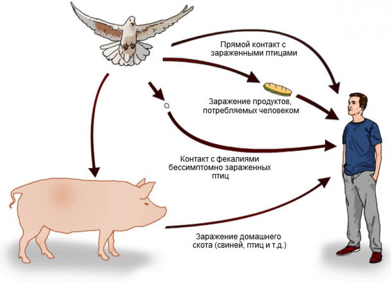 Схема