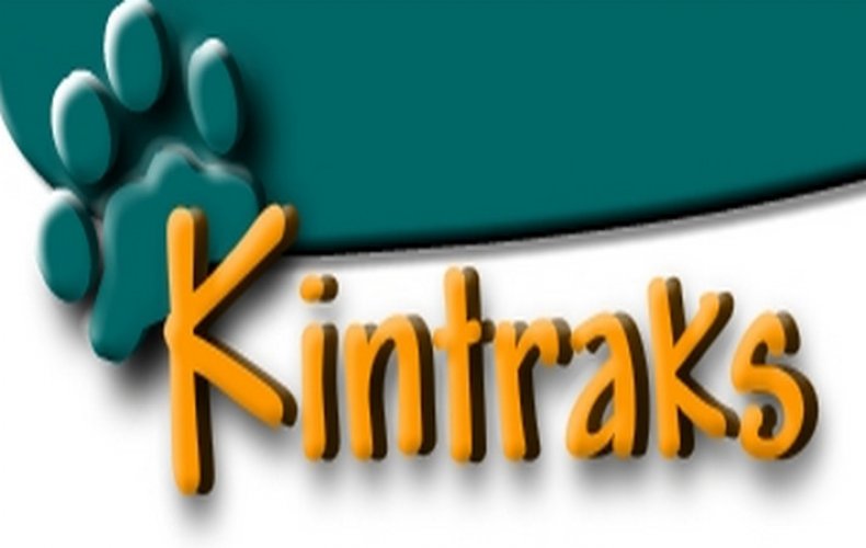 Kintraks