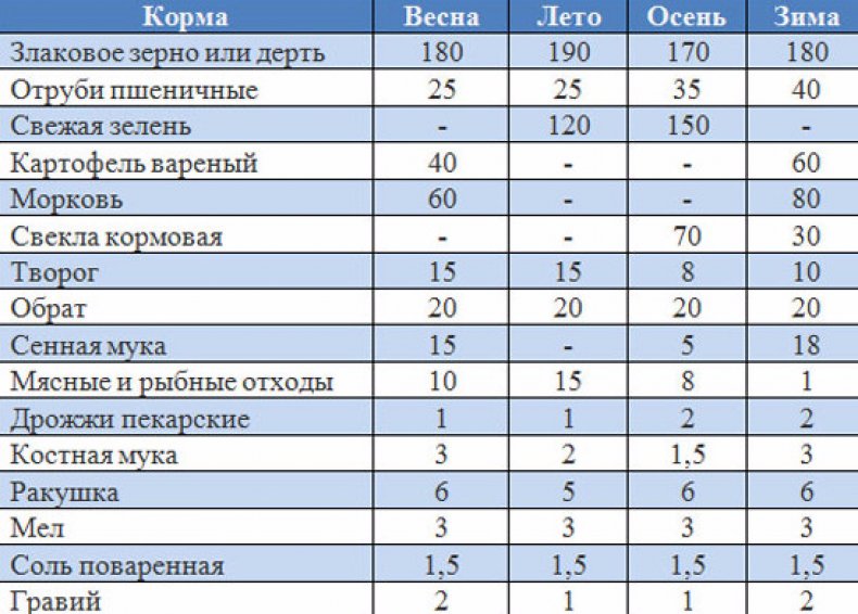 Корм для индоуток