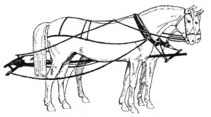 Постромочно-дышловая запряжка лошадей