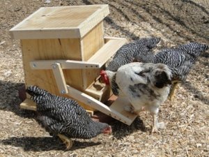 Постройка деревянной кормушки сложнее, чем других