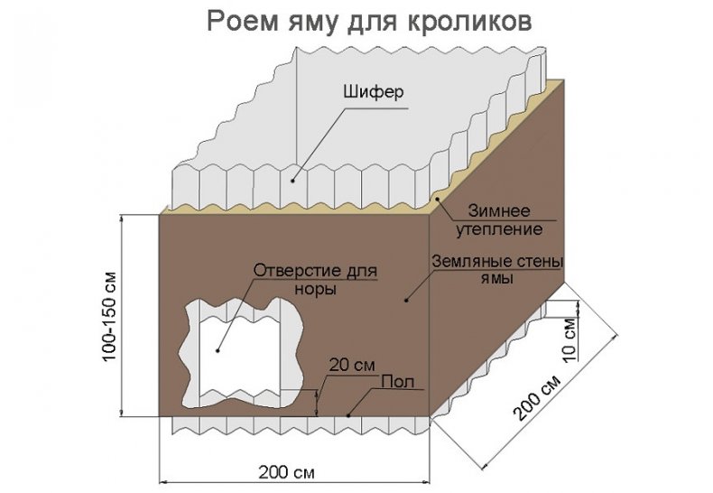 Схема ямы для кроликов