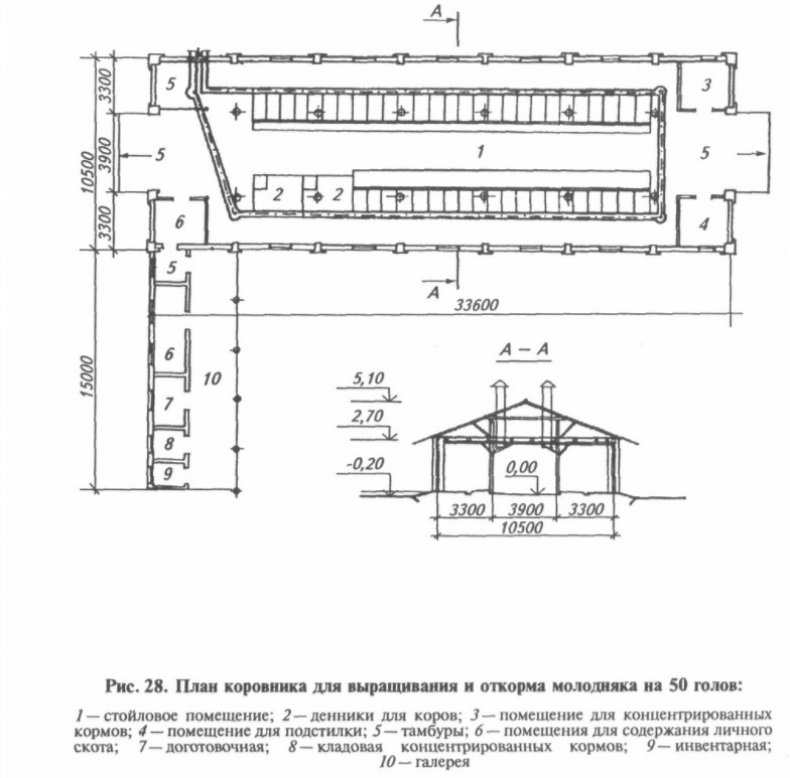 План коровника на 50 голов