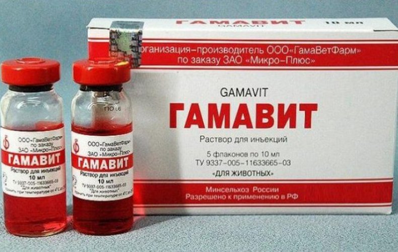 Гамавит